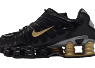29、Nike TL