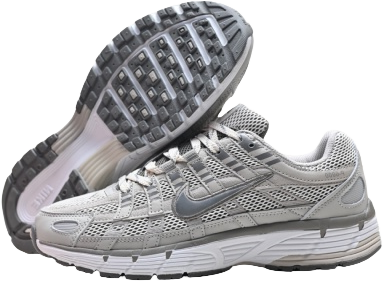 15、Nike P6000